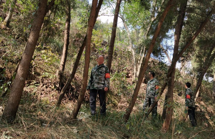 無人機(jī)應(yīng)用如何在林區(qū)巡邏大展身手?(圖1)