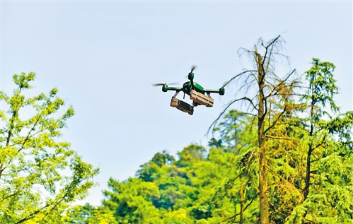無人機(jī)應(yīng)用如何在林區(qū)巡邏大展身手?(圖2)