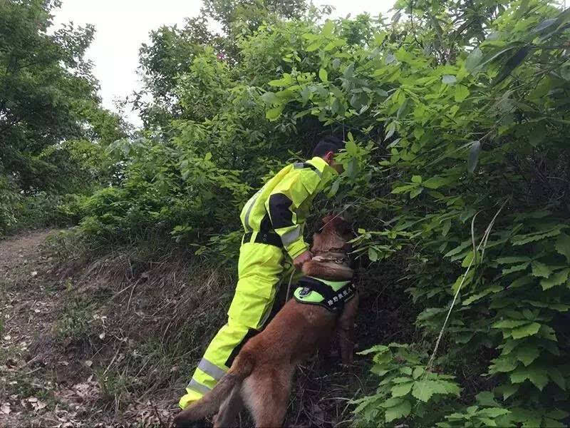 無人機精準救援解救深山迷路游客(圖1) 無人機